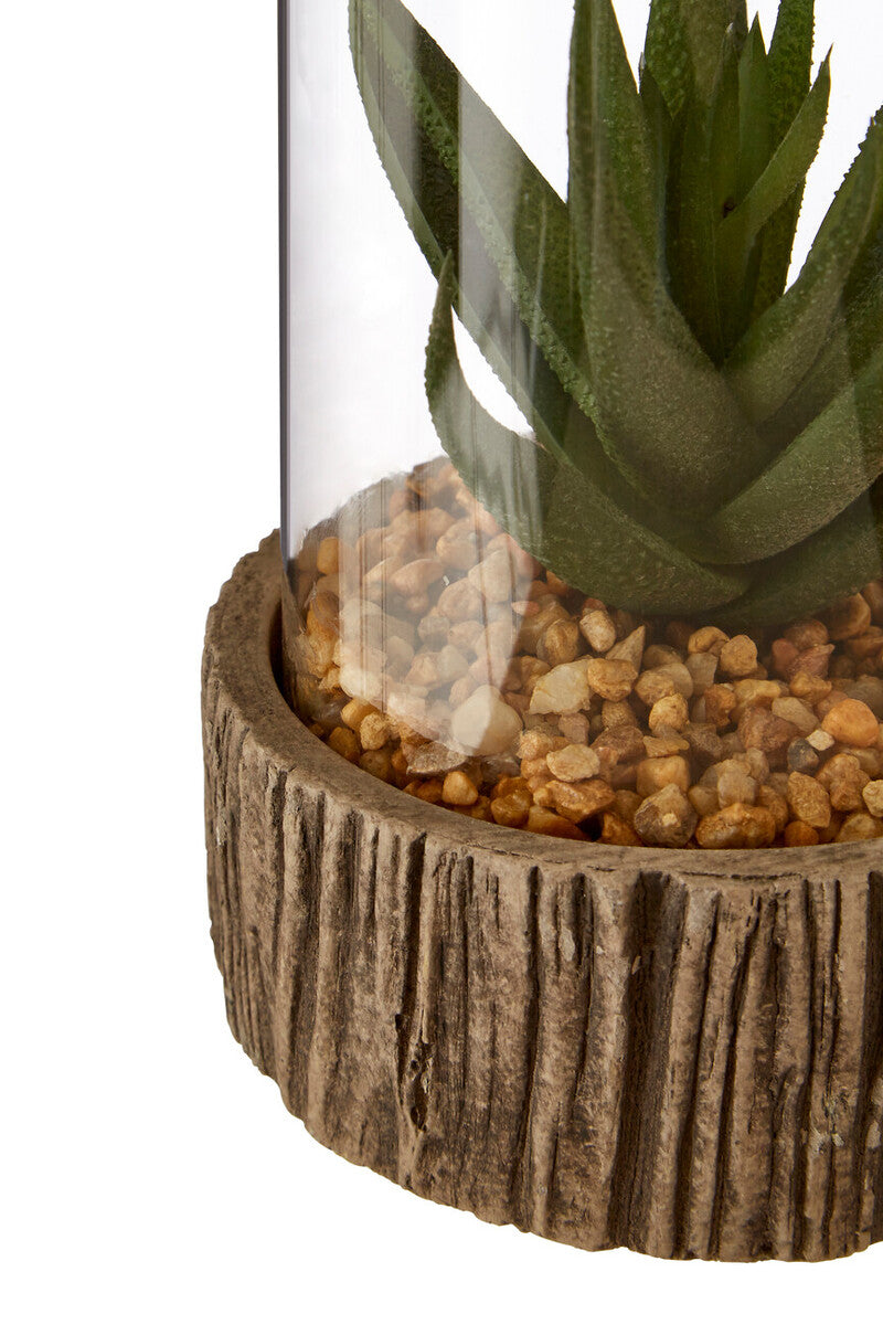 Small Succulent with Natural Stone Base