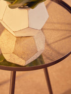 White Cement Pot Succulent