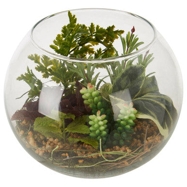 Large Glass Pot Mixed Succulent Terrarium
