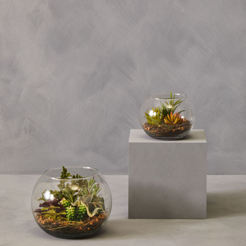 Large Glass Pot Mixed Succulent Terrarium