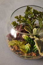 Large Glass Pot Mixed Succulent Terrarium