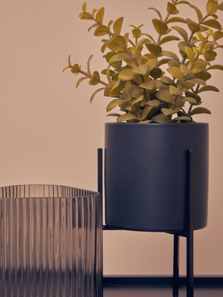 Thyme in Black Pot with Stand
