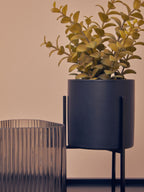 Thyme in Black Pot with Stand