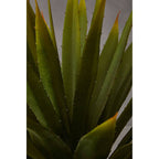 Agave Succulent in Grey Pot