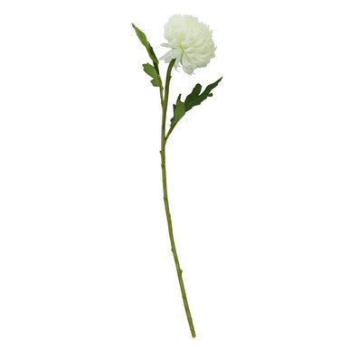 White Chrysanthemum Flower Stem