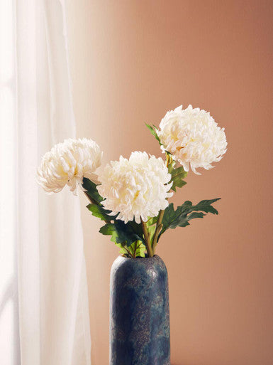 White Chrysanthemum Flower Stem