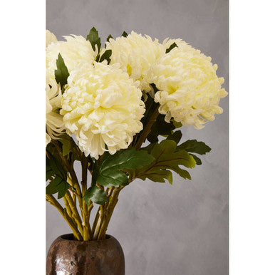 White Chrysanthemum Flower Stem
