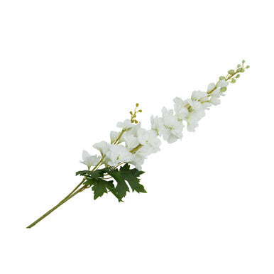 Tall White Delphinium Flower Stem