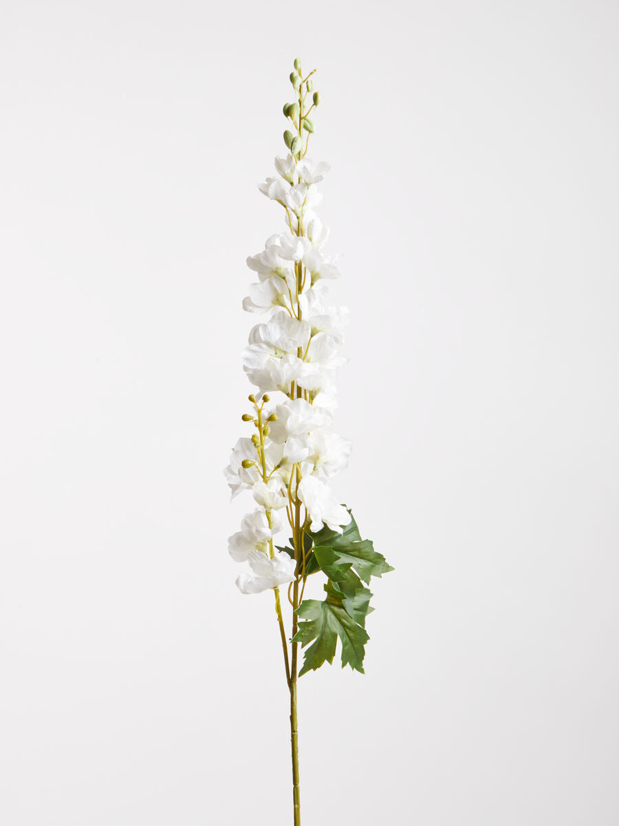 Tall White Delphinium Flower Stem