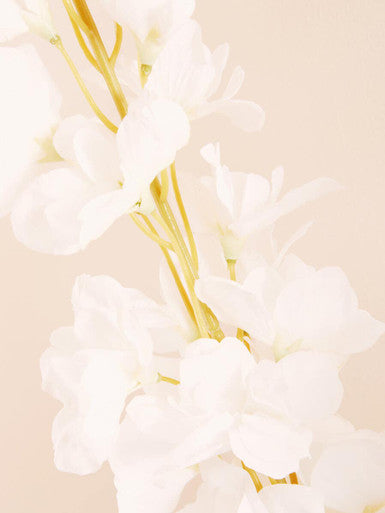 Tall White Delphinium Flower Stem