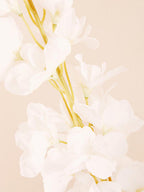 Tall White Delphinium Flower Stem
