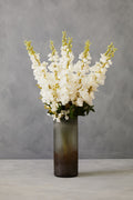 Tall White Delphinium Flower Stem