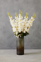 Tall White Delphinium Flower Stem
