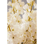 Tall White Delphinium Flower Stem