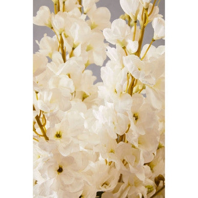 Tall White Delphinium Flower Stem