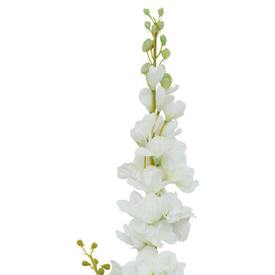 Tall White Delphinium Flower Stem