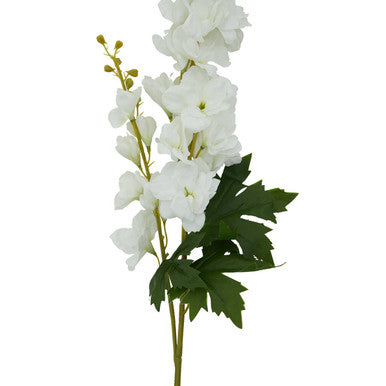 Tall White Delphinium Flower Stem