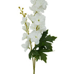 Tall White Delphinium Flower Stem