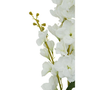 Tall White Delphinium Flower Stem
