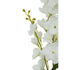 Tall White Delphinium Flower Stem