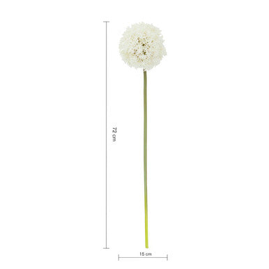 Ivory Allium Flower Stem