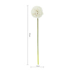 Ivory Allium Flower Stem