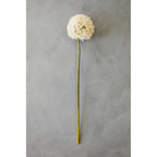 Ivory Allium Flower Stem