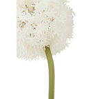 Ivory Allium Flower Stem