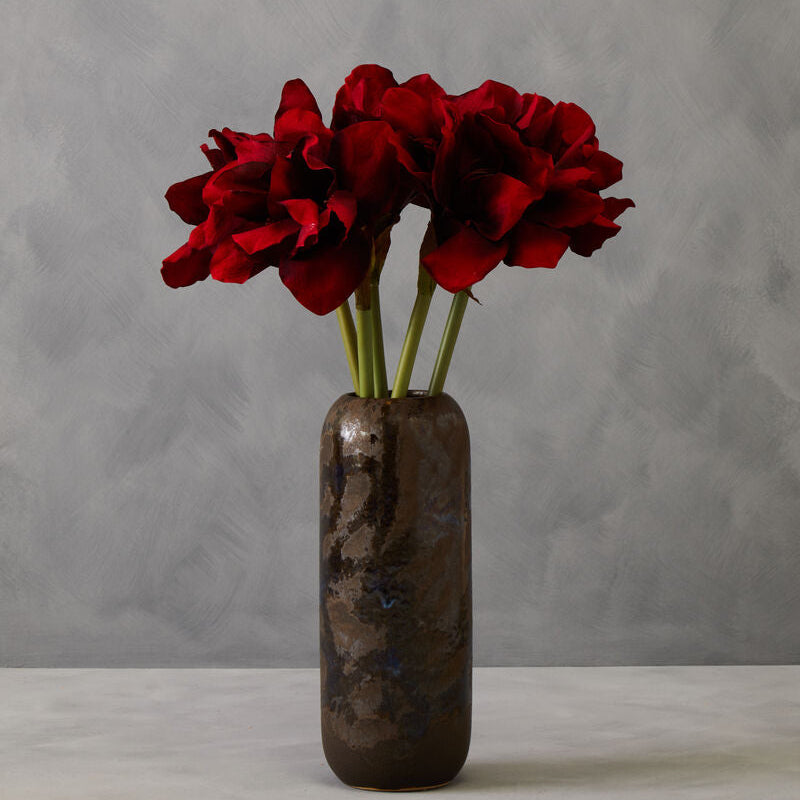 Burgundy Amaryllis Flower Stem