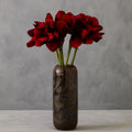 Burgundy Amaryllis Flower Stem