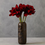 Burgundy Amaryllis Flower Stem