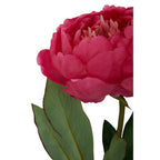Fuchsia Peony Flower Stem