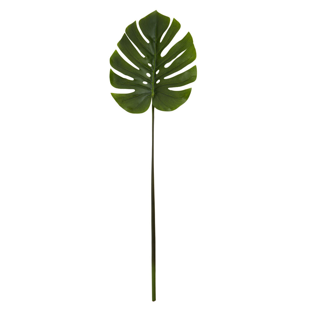Tall Monstera Palm Stem