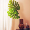 Tall Monstera Palm Stem