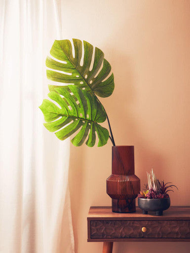 Tall Monstera Palm Stem