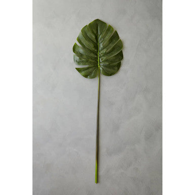 Tall Monstera Palm Stem