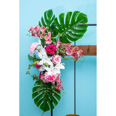 Tall Monstera Palm Stem