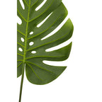 Tall Monstera Palm Stem