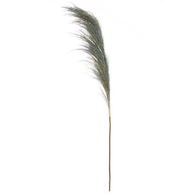 Blue Tall Pampas Grass Stem