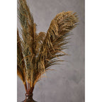 Blue Tall Pampas Grass Stem