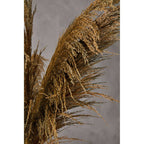 Blue Tall Pampas Grass Stem