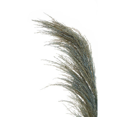 Blue Tall Pampas Grass Stem