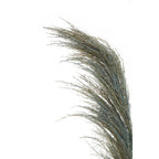 Blue Tall Pampas Grass Stem