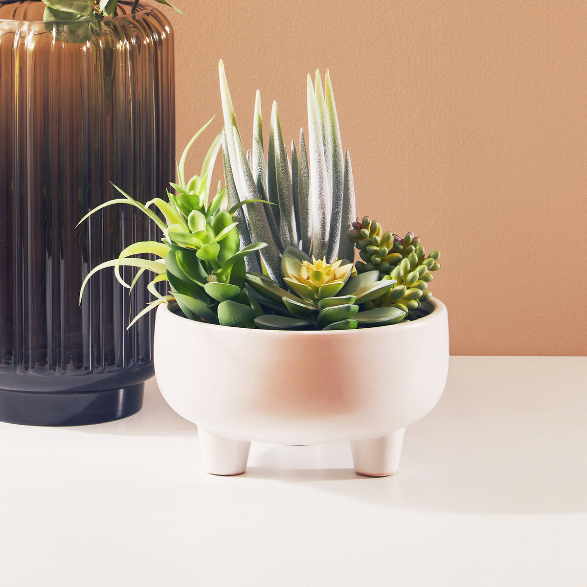 Mixed Succulents in Large Ceramic Pot