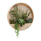 Mixed Succulents in Wood Wall Planter