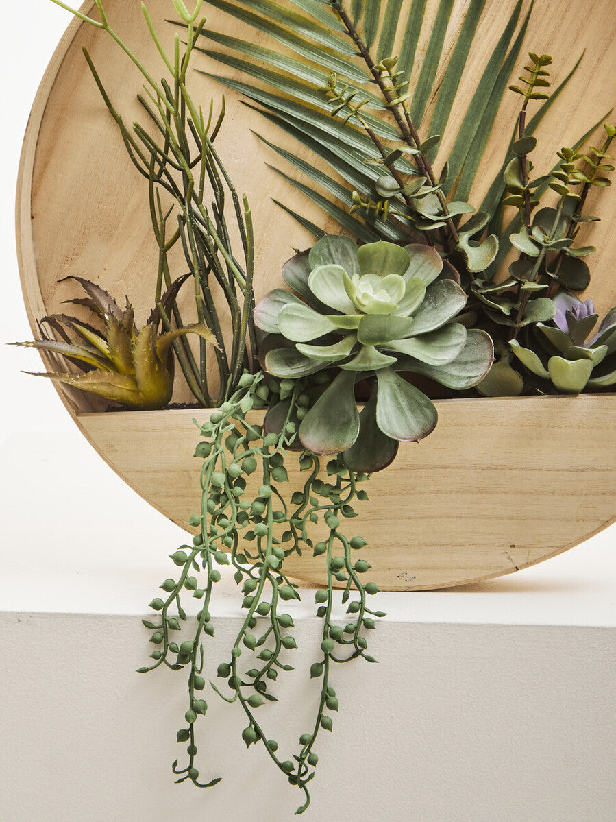 Mixed Succulents in Wood Wall Planter