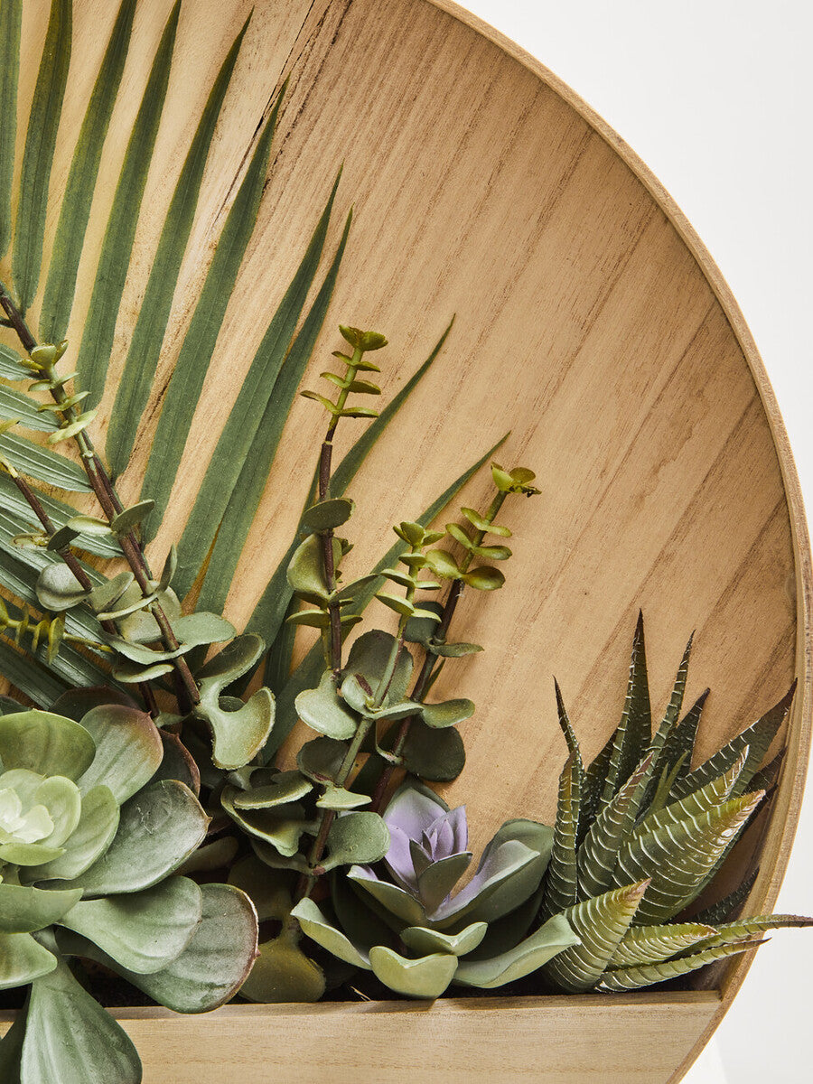 Mixed Succulents in Wood Wall Planter
