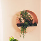 Mixed Succulents in Wood Wall Planter