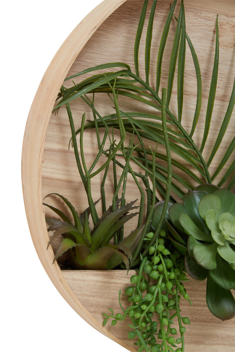 Mixed Succulents in Wood Wall Planter