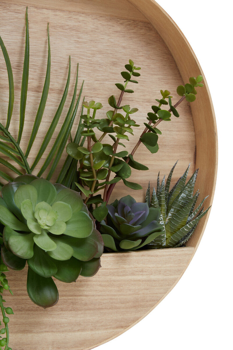 Mixed Succulents in Wood Wall Planter